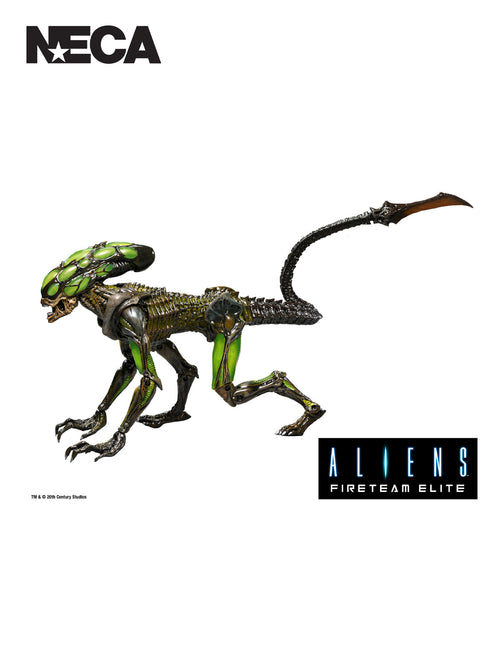 Alie's Fireteam Elite - Burster 7" NECA Figure