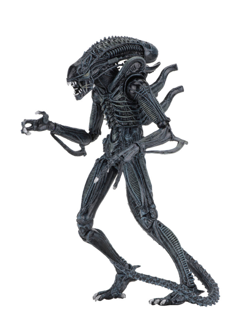 Aliens - Ultimate Warrior Blue Alien 7" NECA Figure