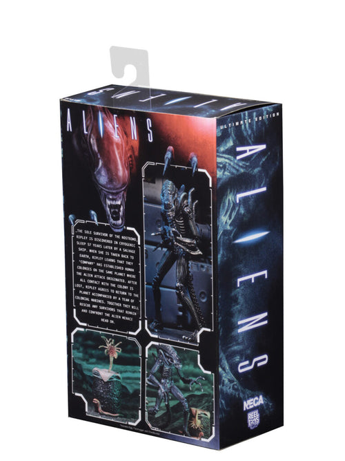 Aliens - Ultimate Warrior Blue Alien 7" NECA Figure