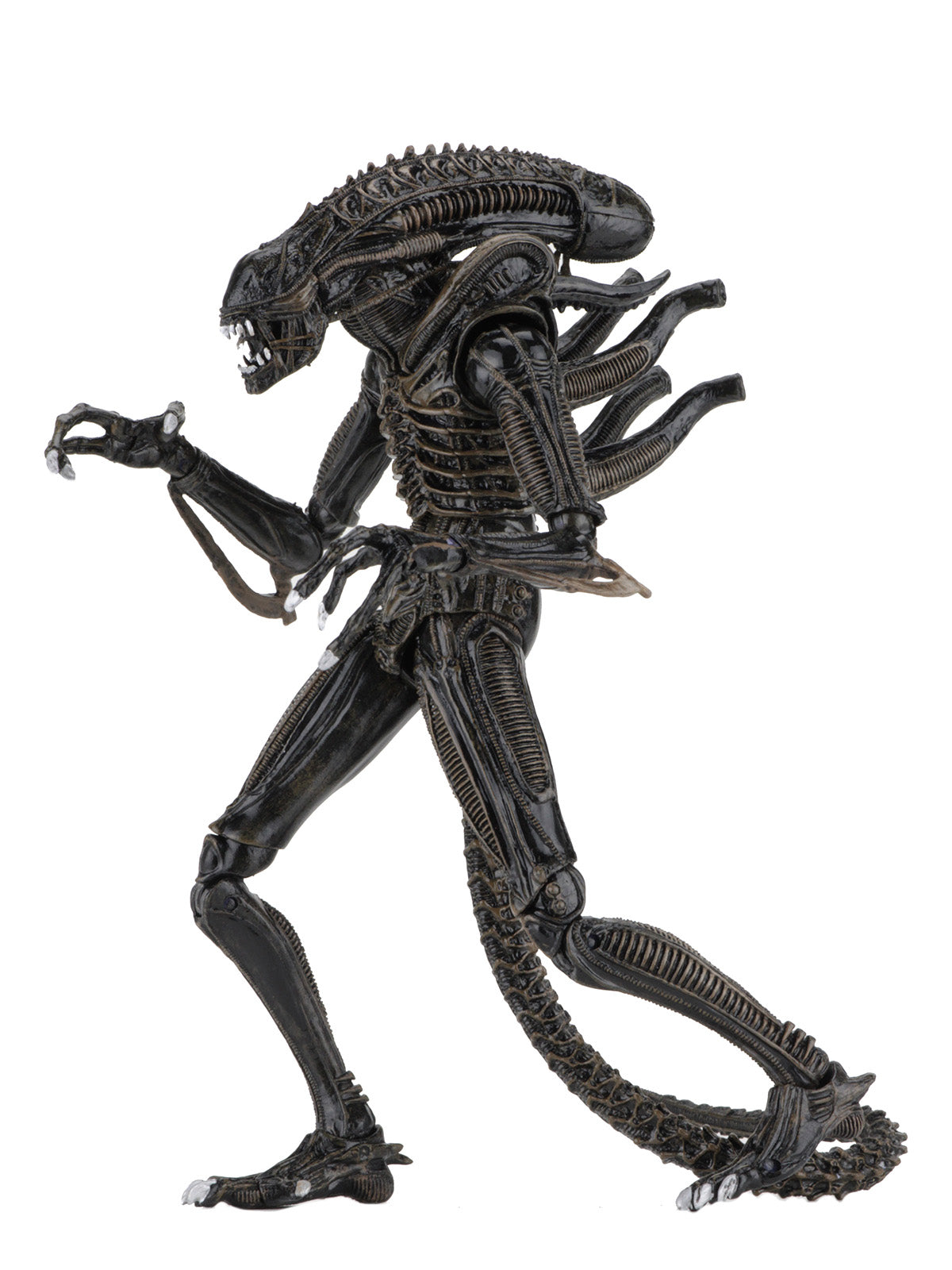 Aliens - Ultimate Warrior Brown Alien 7" NECA Figure