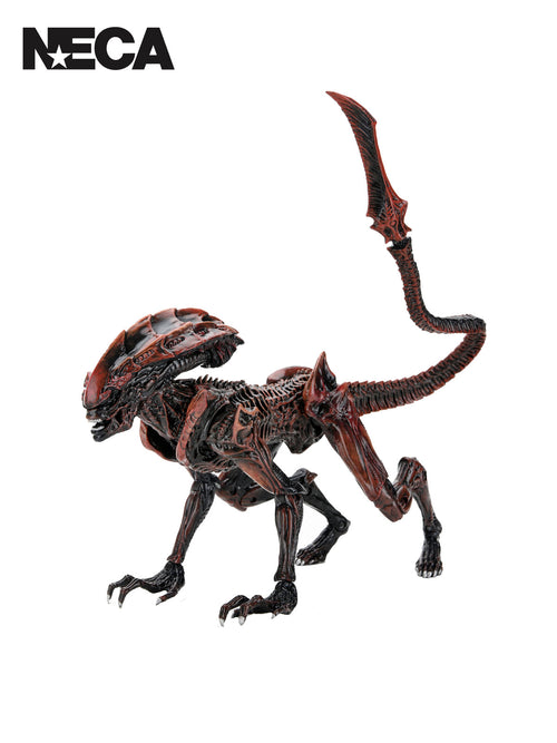 Alie's Fireteam Elite - Prowler 7" NECA Figure